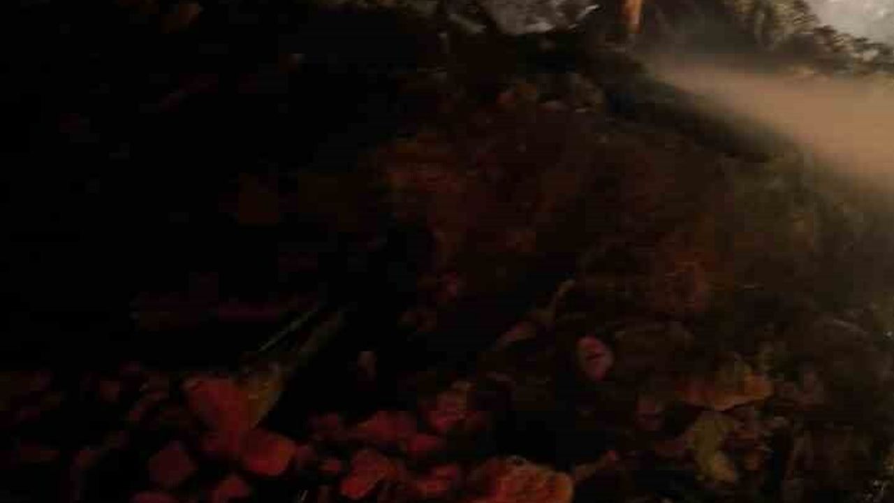 Samanlık Yangını Van'da Kontrol Altına Alındı