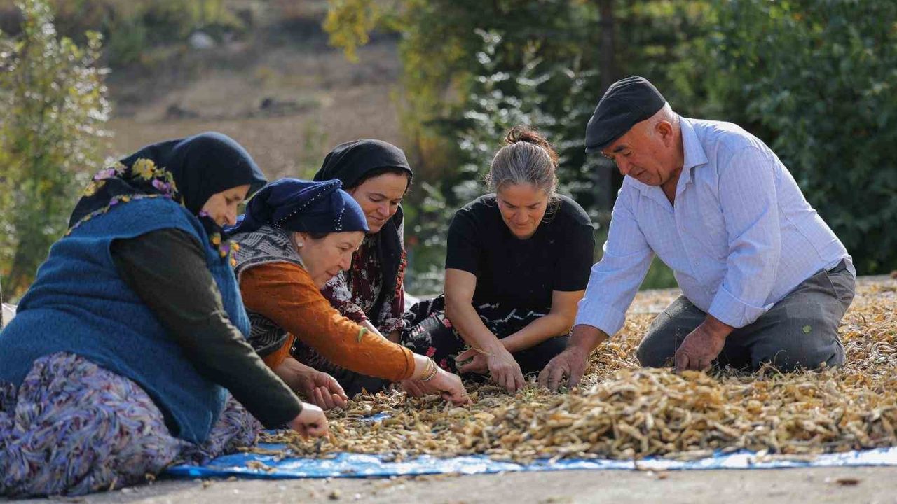 Samsun Büyükşehir Belediyesi'nden Dayanışma Projesi