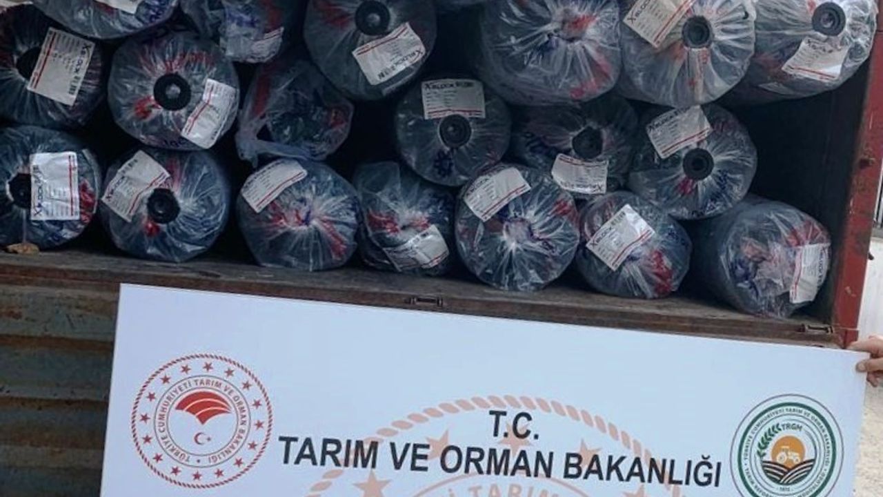 Samsun'da 63 Yatırımcıya Fındık Hasat Filesi Desteği