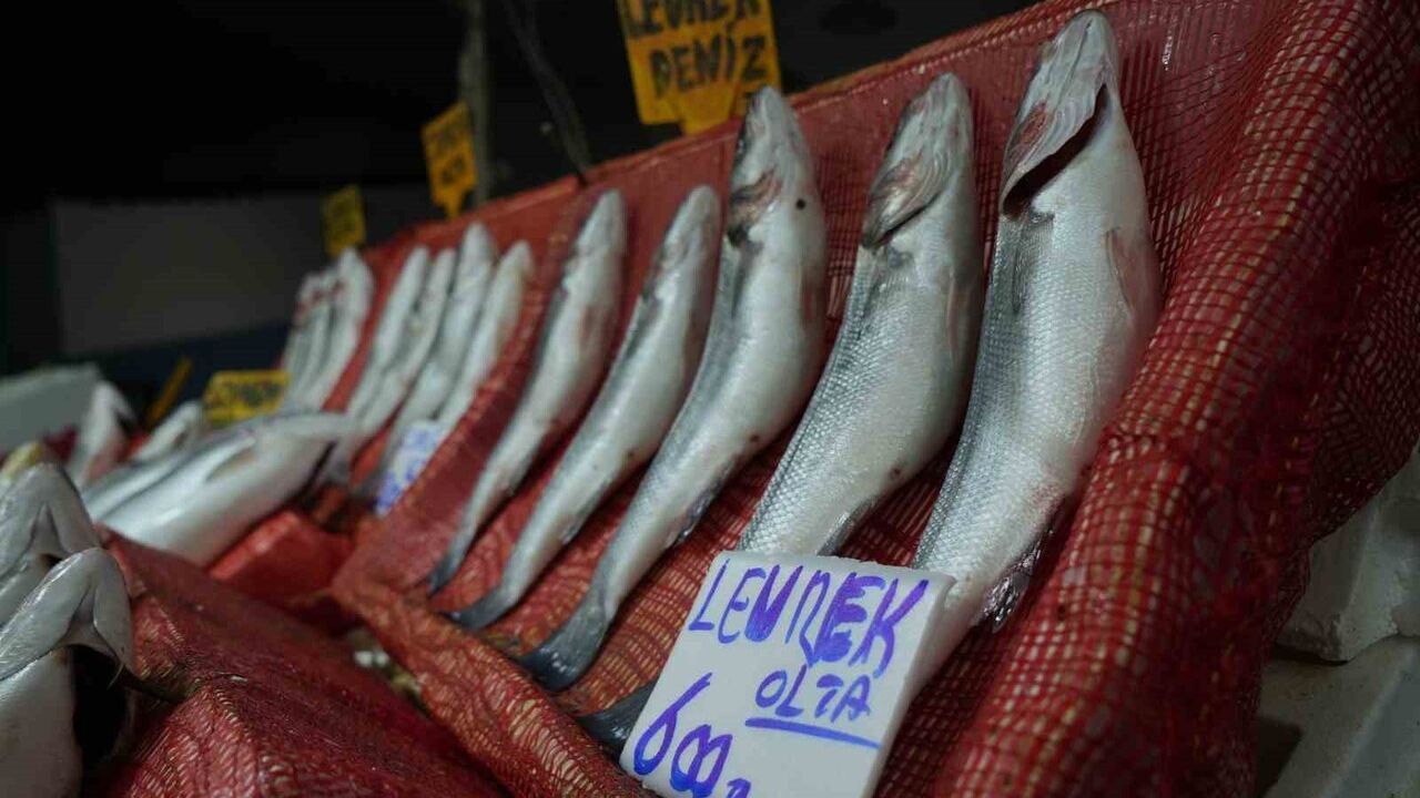 Samsun'da Balık Fiyatları Yüksek Seyrediyor