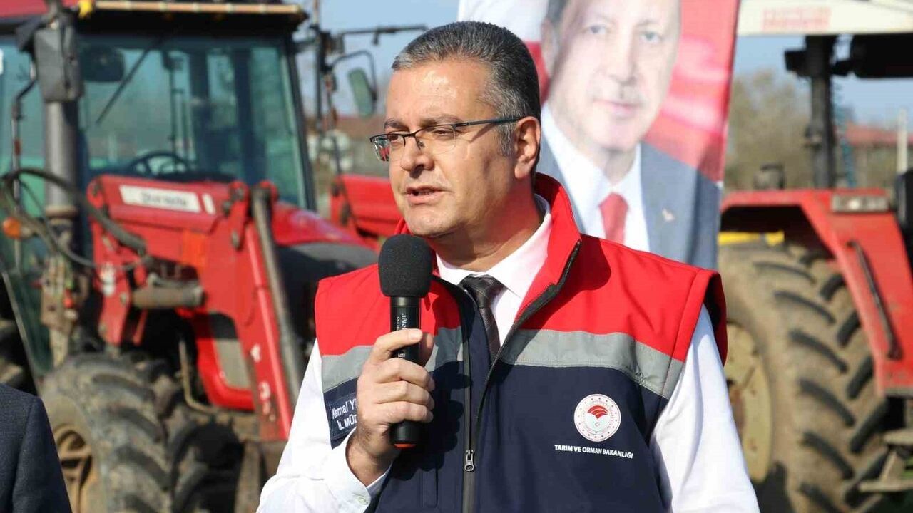 Samsun'da Kahverengi Kokarca ile Mücadele