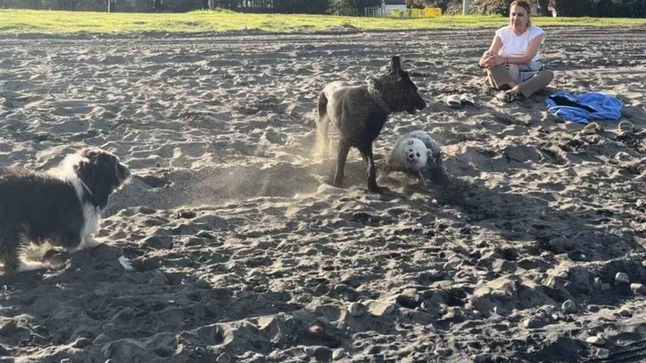 Samsun'da Pastırma Sıcakları Denizi Şenlendirdi