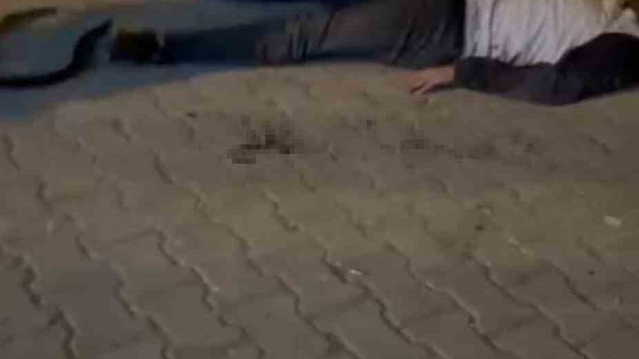 Şanlıurfa'da Bıçaklı Kavga: 3 Yaralı