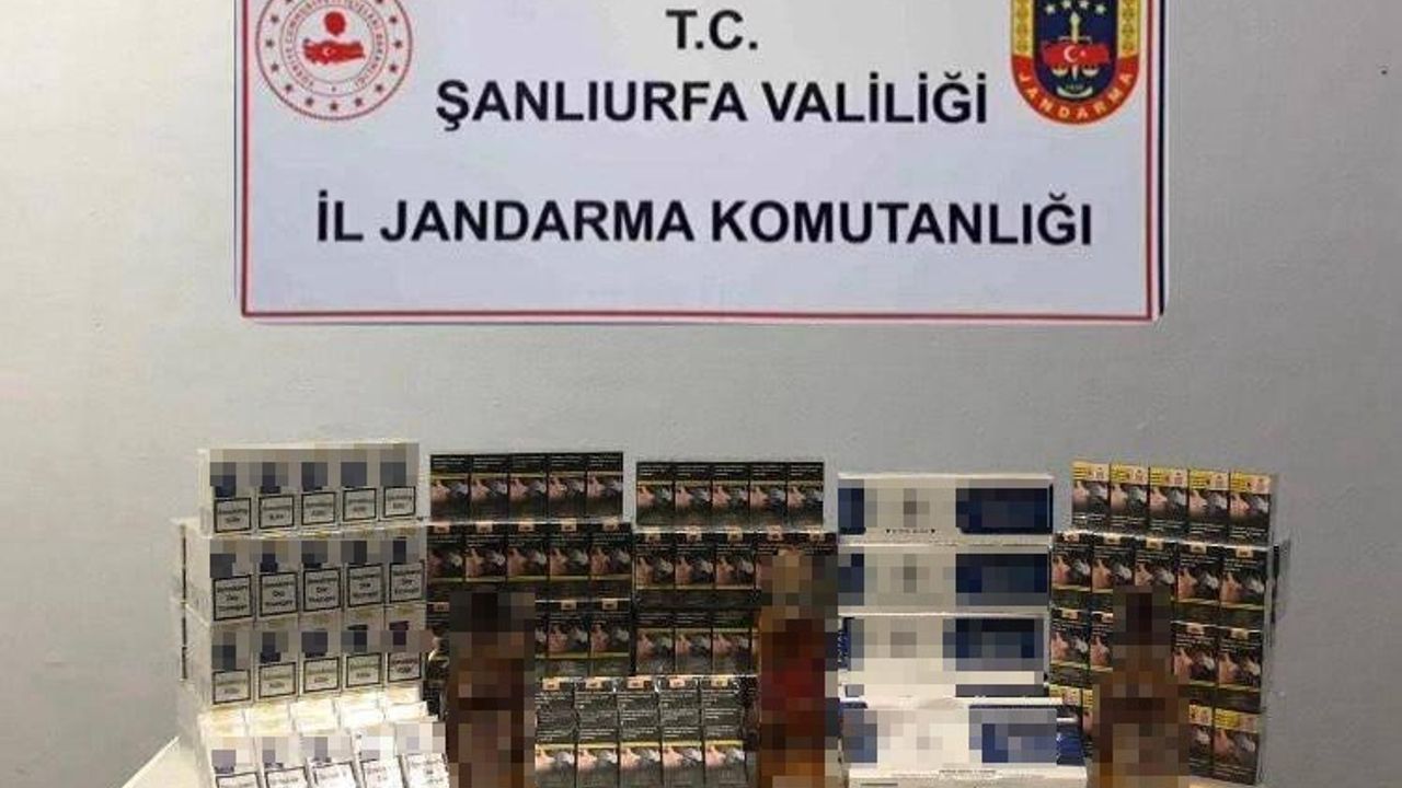 Şanlıurfa'da Kaçak Tütün Operasyonu: 5 Bin 210 Paket Ele Geçirildi