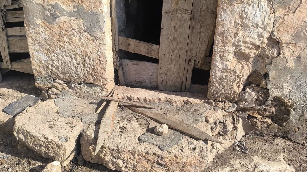 Şanlıurfa'da Sırtlanlar Tavukları Çaldı