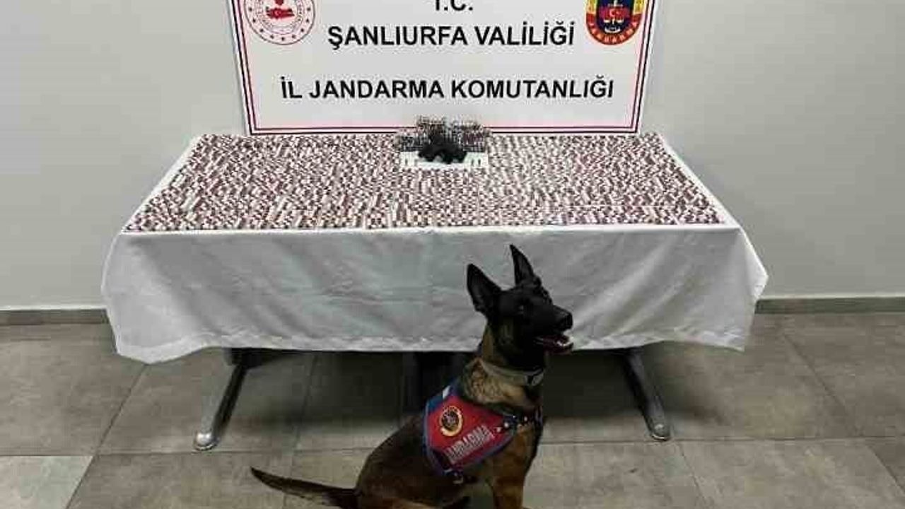 Şanlıurfa'da Uyuşturucu Operasyonu: İki Gözaltı