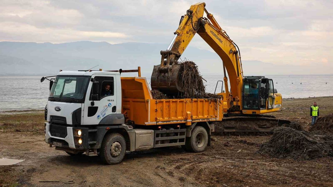 Sapanca Gölü Kıyılarında Temizlik Çalışmaları