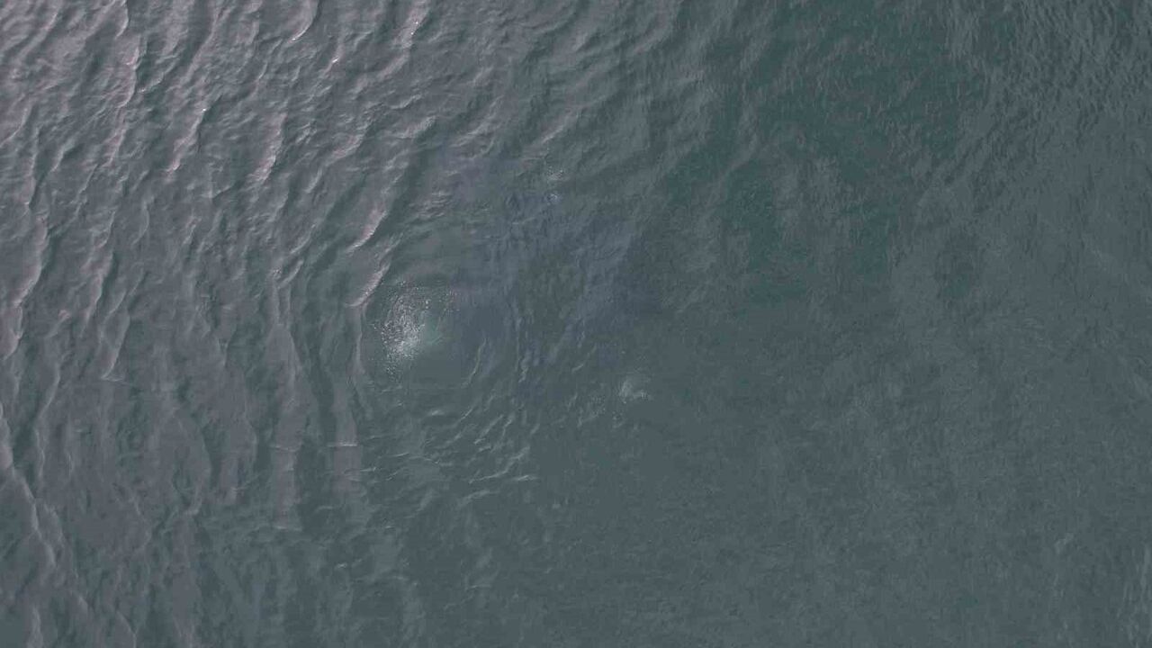 Sapanca Gölü’ndeki Kabarcıklar Endişe Yarattı