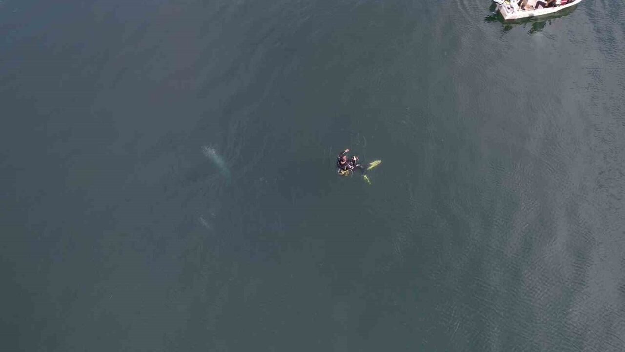Sapanca Gölü'ndeki Kabarcıklar Kaygı Yarattı