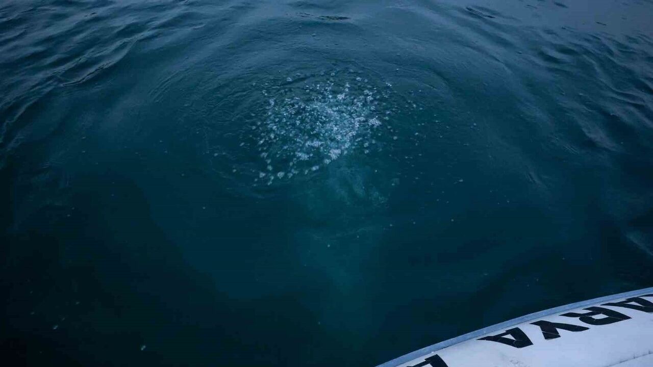 Sapanca Gölü'ndeki Kabarcıkların Sebebi Belirlendi