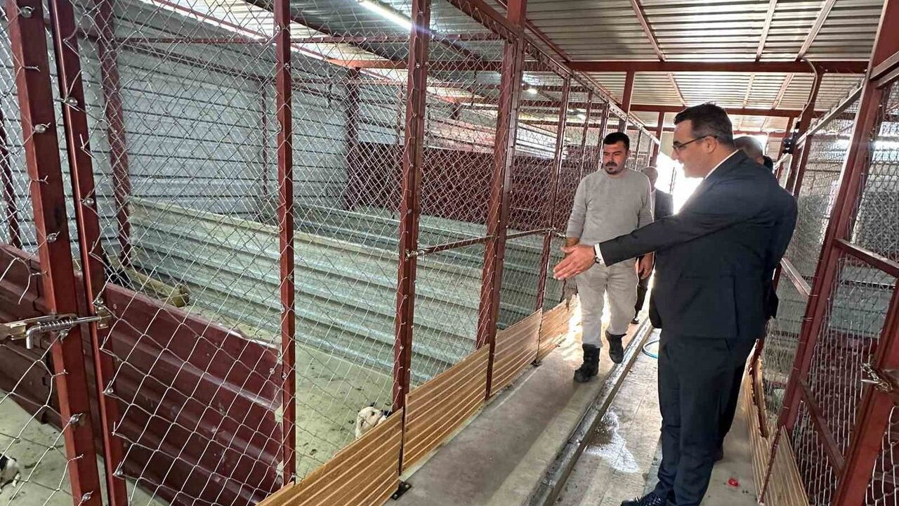 Sarıgöl'de Sokak Hayvanlarına Önemli Destekler