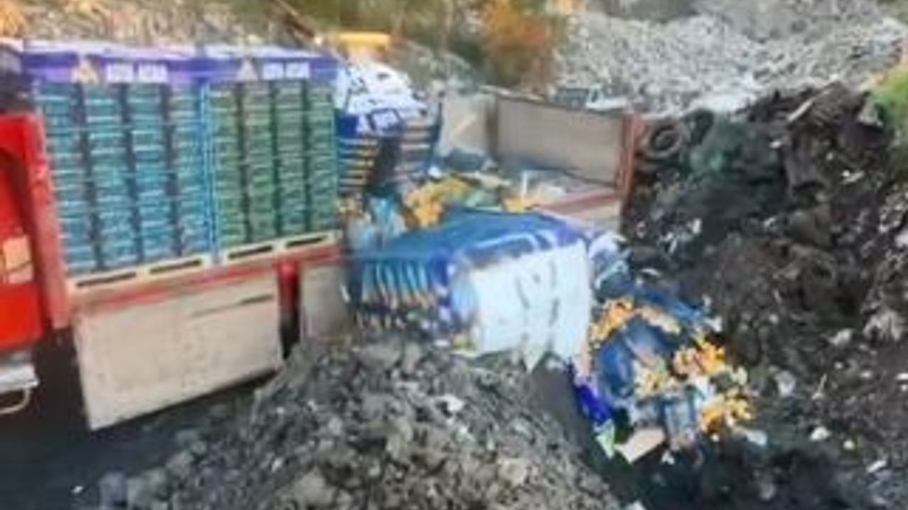 Sarp Sınır Kapısı’nda Zirai İlaç Kalıntısı Tespit Edildi ve 6 Ton Mandalina İmha Edildi