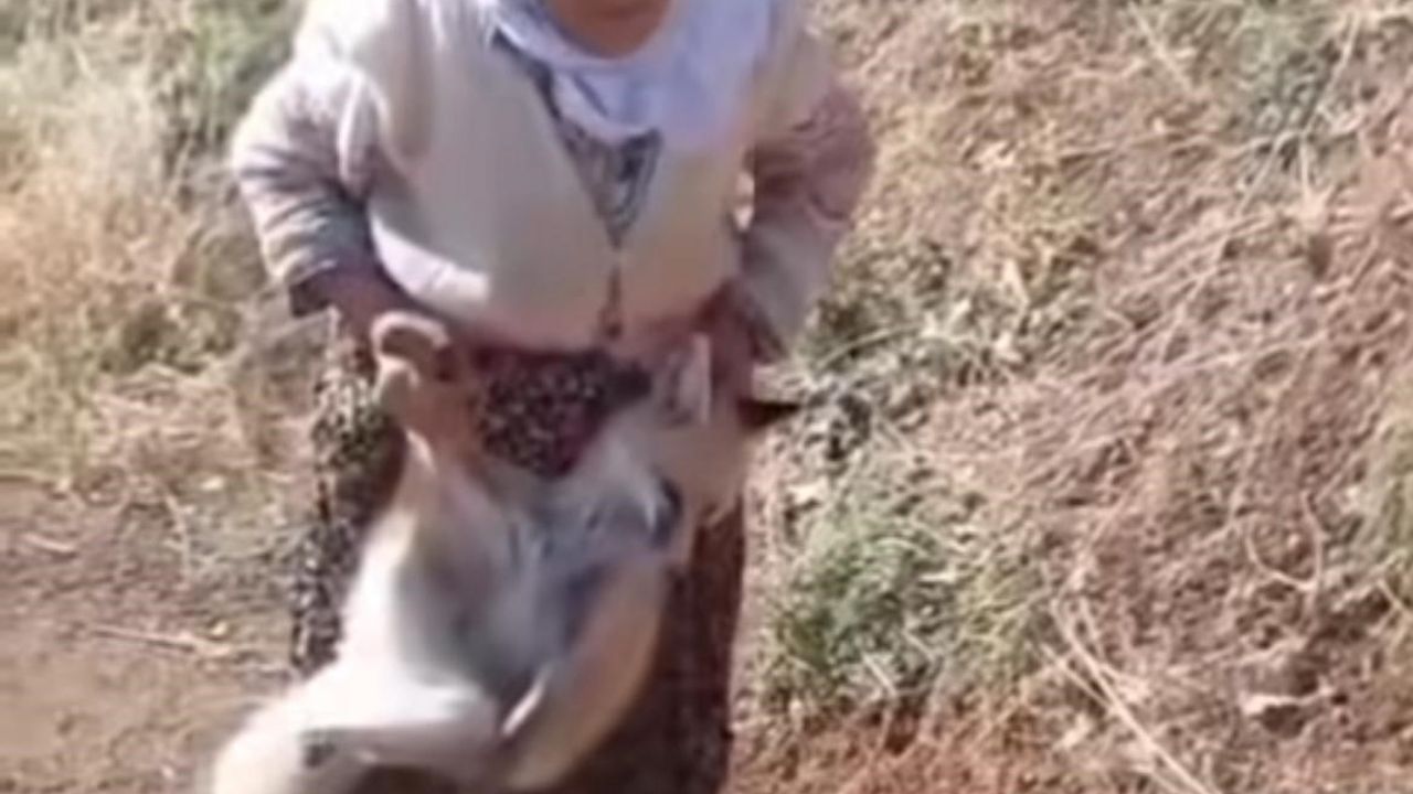 Sason'un Cesur Ninesi Tayyibe Nine Hayatını Kaybetti