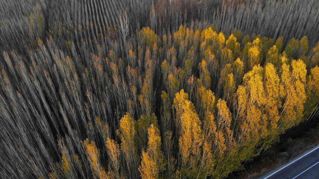 Savur İle Doğanın Renk Cümbüşünü Yaşayın