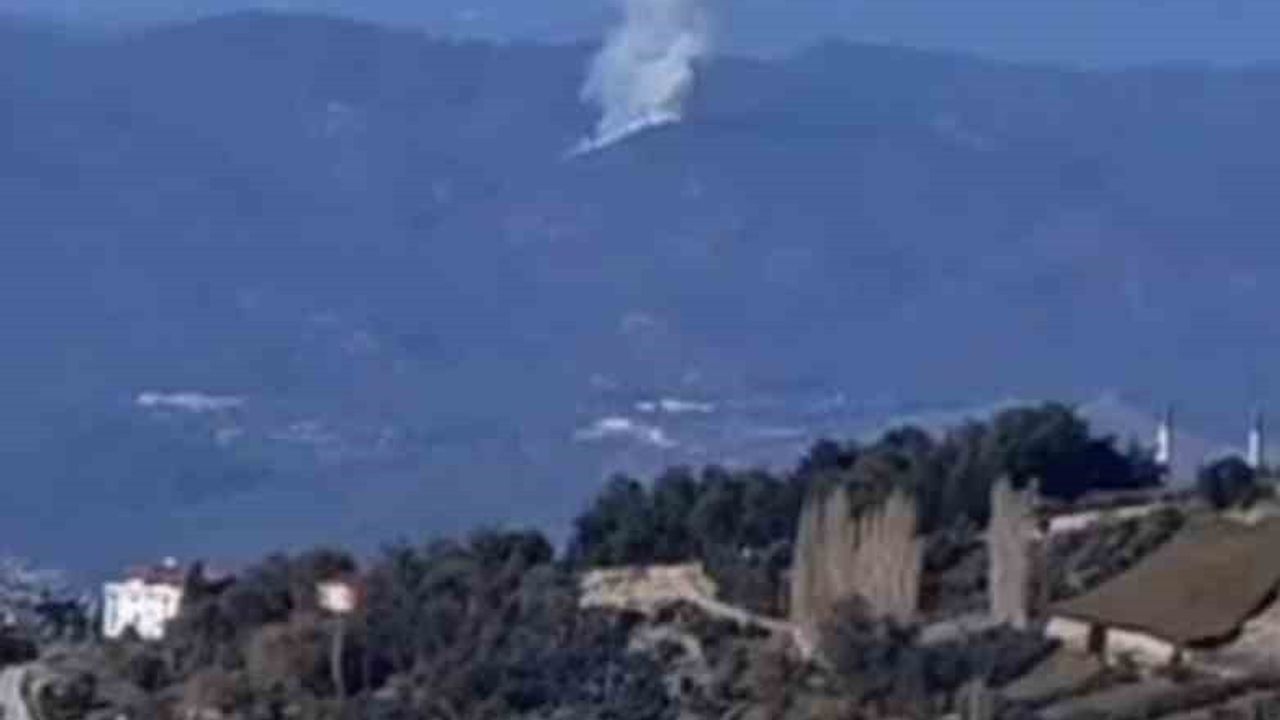 Seydikemer'de Orman Yangını: Ekipler Hızla Müdahale Etti