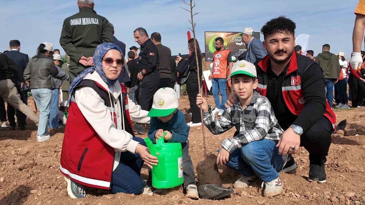 Siirt’te 11 Kasım Milli Ağaçlandırma Günü Coşkusu