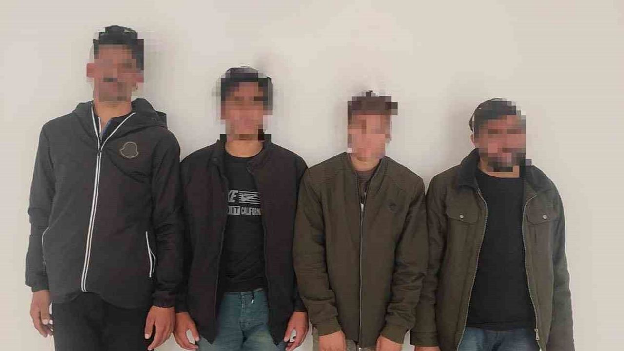 Siirt'te Sahte Pasaportlu Düzensiz Göçmen Operasyonu