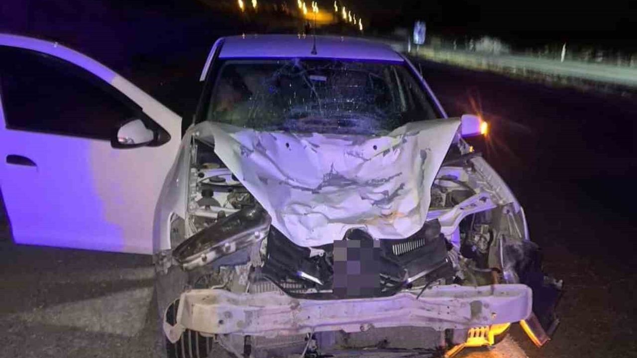Siirt’te Trafik Kazası: Otomobil Atı Vurdu