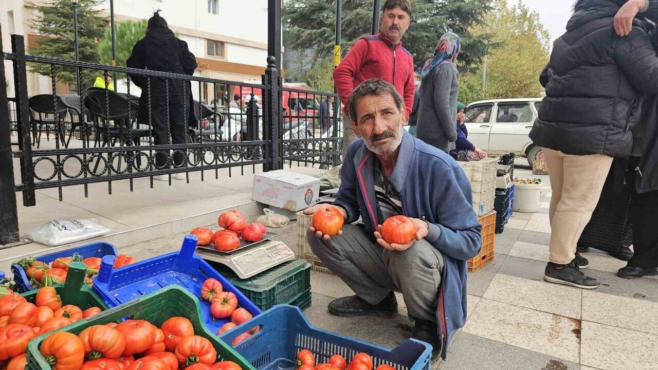 Sındırgı’da Deprem Sonrası Normalleşme Çabaları