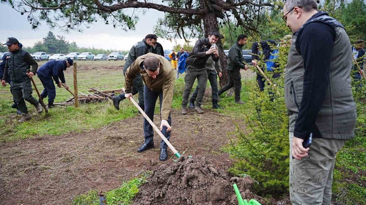 Sındırgı'da Milli Ağaçlandırma Günü Etkinliği