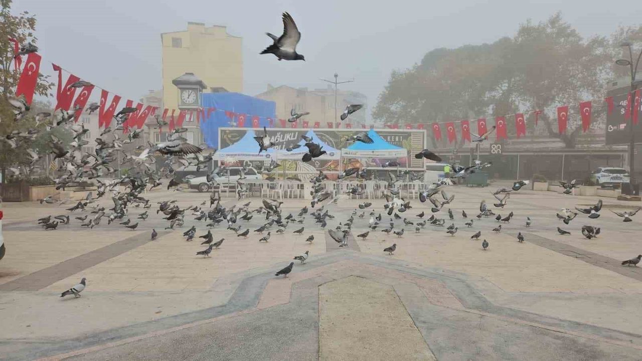 Sındırgı'da Yoğun Sis Etkisi