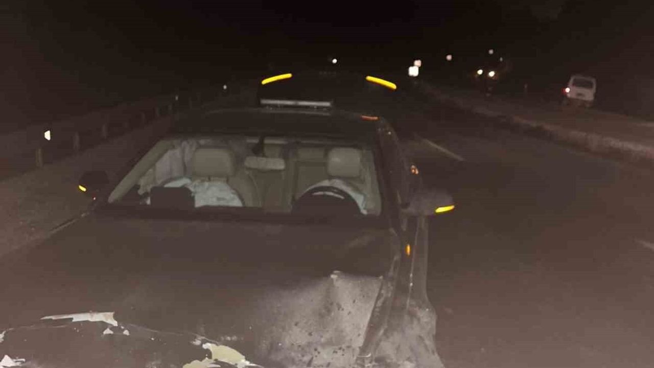 Sinop Belediye Başkanı Makam Aracı Domuz Sürüsüne Çarptı