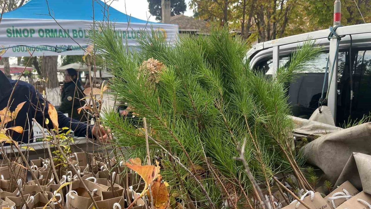 Sinop'ta Fidan Dağıtımıyla Yeşil Vatan Seferberliği Desteklendi