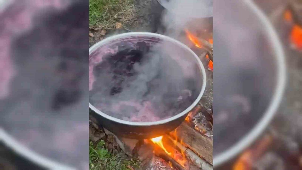 Sinop'ta Geleneksel Kışlık Pekmez Yapımı