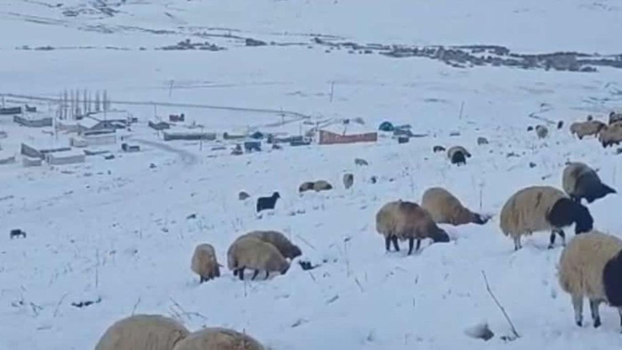 Şırnak'ta Kar Kalınlığı 20 Santimetreyi Aştı