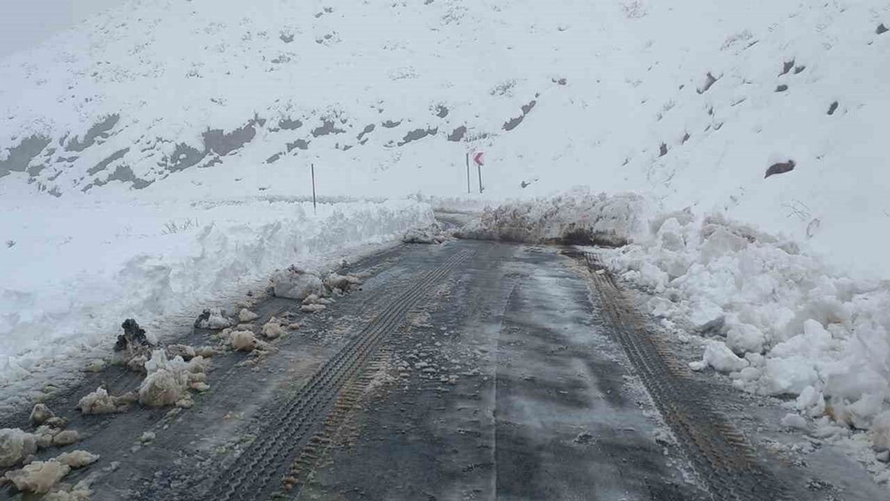 Şırnak'ta Tanin Geçidi'nde Yol Açma Çalışmaları Başladı
