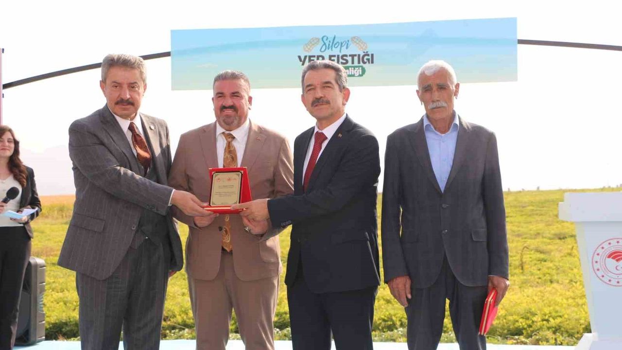 Şırnak’ta Yer Fıstığı Hasat Şenliği: 25 Bin Ton Rekolte Bekleniyor