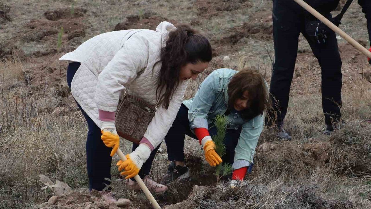 Sivas'ta 58 Bin Fidan Toprakla Buluştu