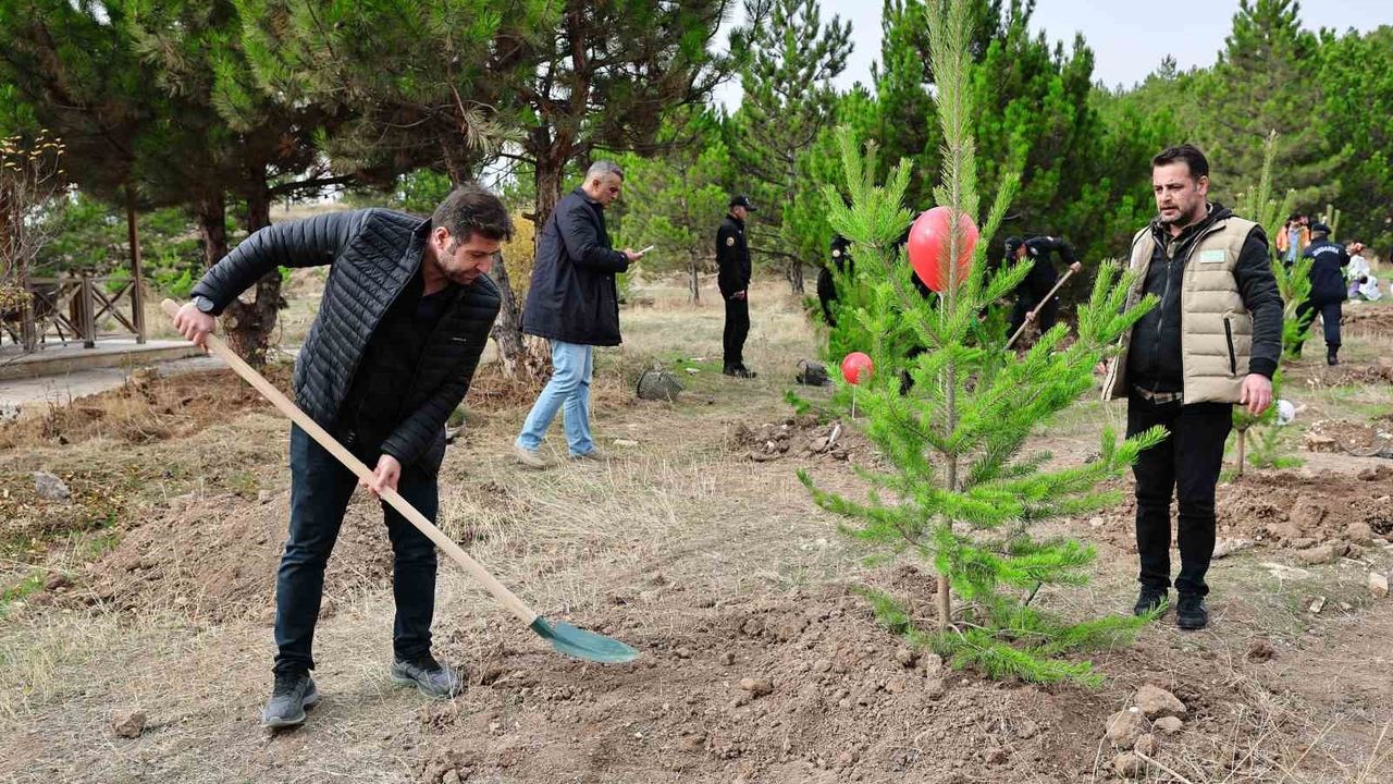 Sivas'ta 90 Bin Fidan Dikildi: Ağaçlandırma Gününe Özel Etkinlik