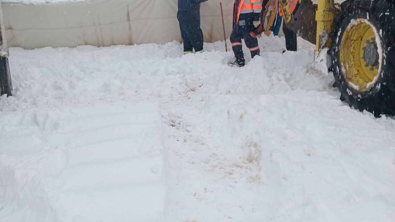 Sivas'ta Kar Yağışı Nedeniyle Çadır Çöktü, 8 Koyun Telef Oldu
