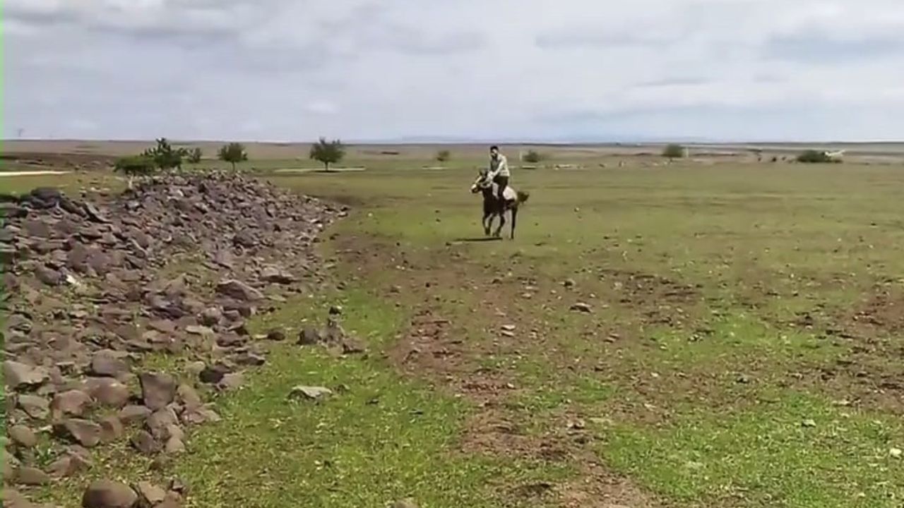 Siverek’te Eğlenceli Anlar Kameralara Yansıdı