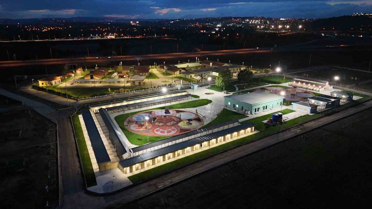 Sokak Hayvanlarına Yeni Bir Umut: Pati İzi Projesi 500 Can Dost Buldu