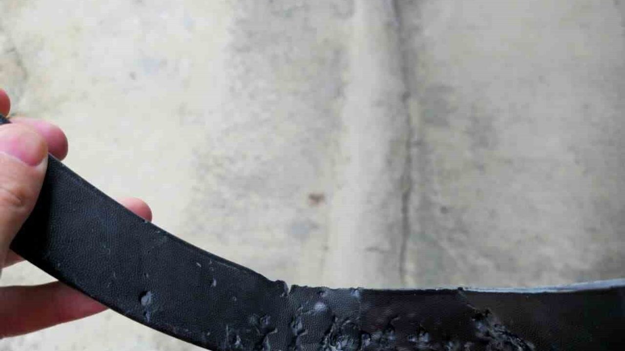 Sokak Köpeklerinin Park Halindeki Araca Zarar Verdiği Anlar Kamerada