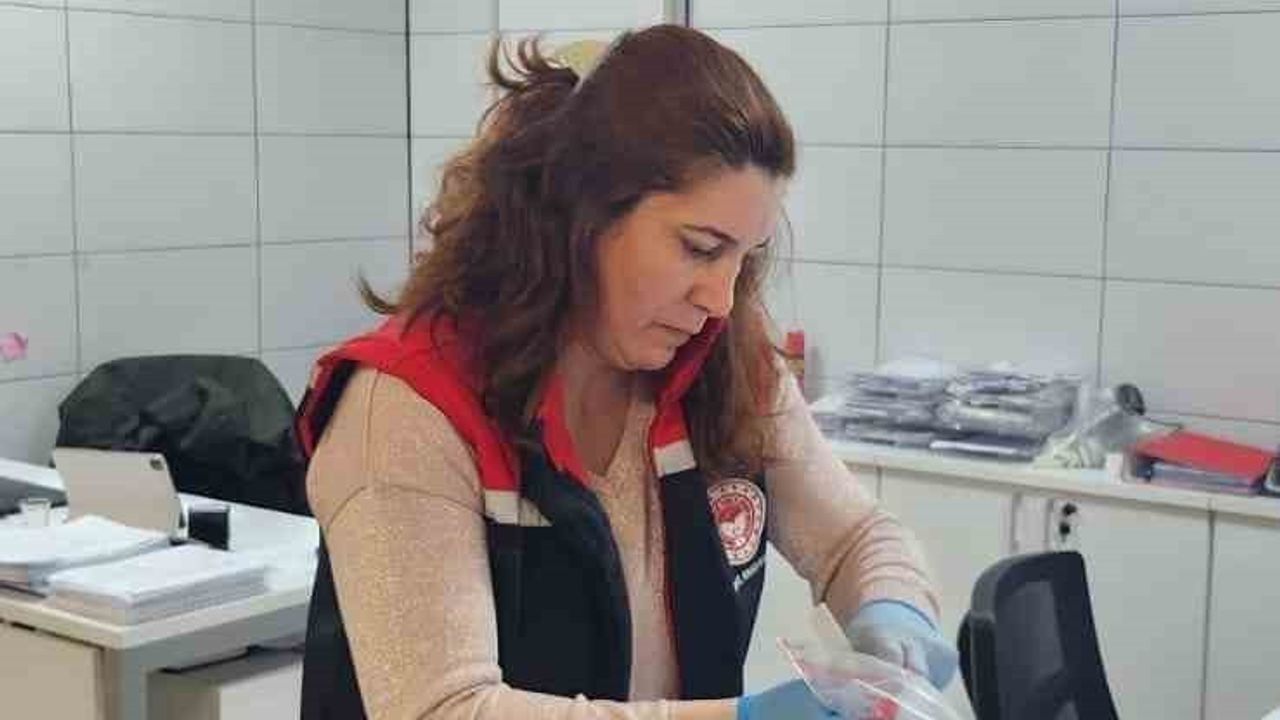 Söke'den İhraç Edilecek Balıklara Güvenlik Testleri