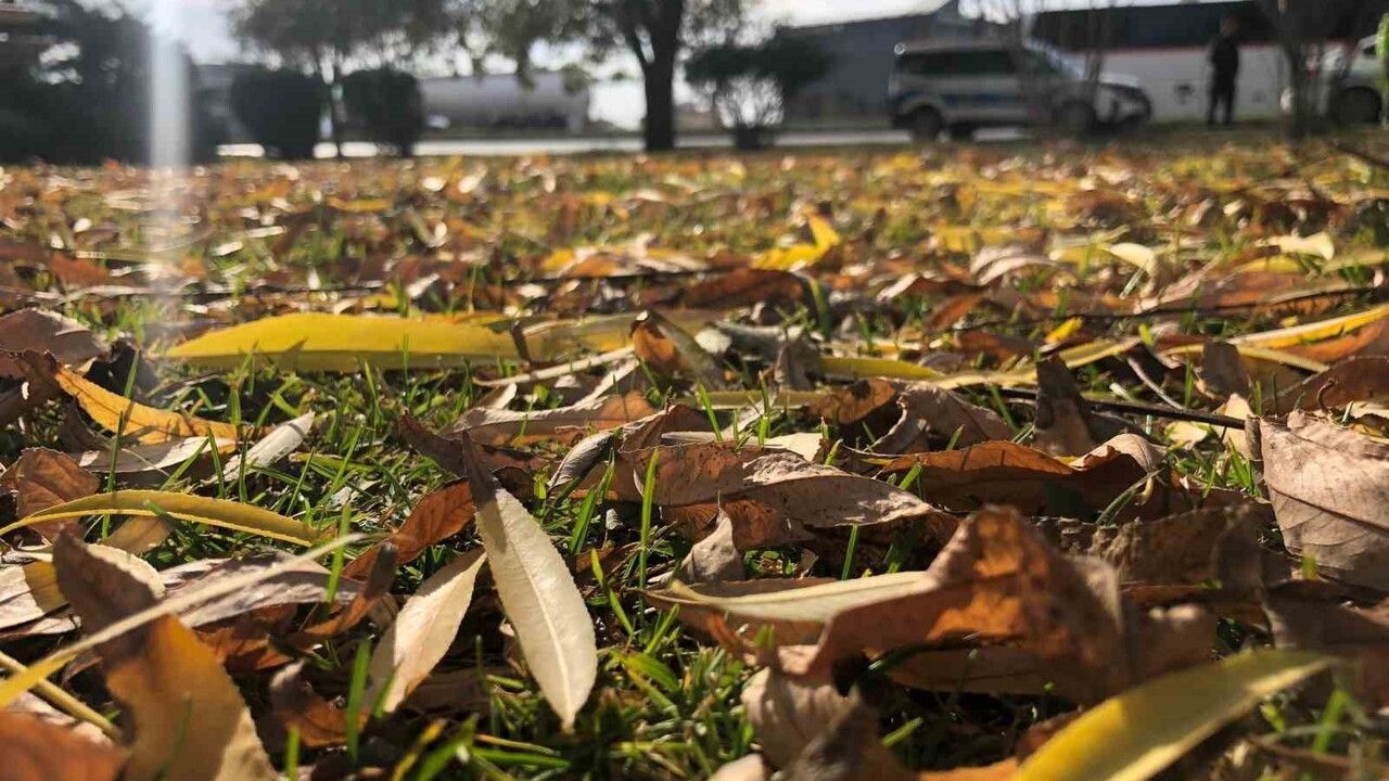 Sonbahar Güzellikleri: Eskişehir'de Dökülen Yapraklarla Renk Cümbüşü