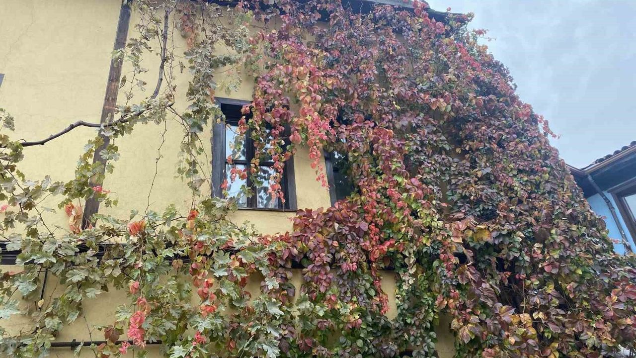 Sonbaharın Renkleriyle Bezenen Tarihi Yapı