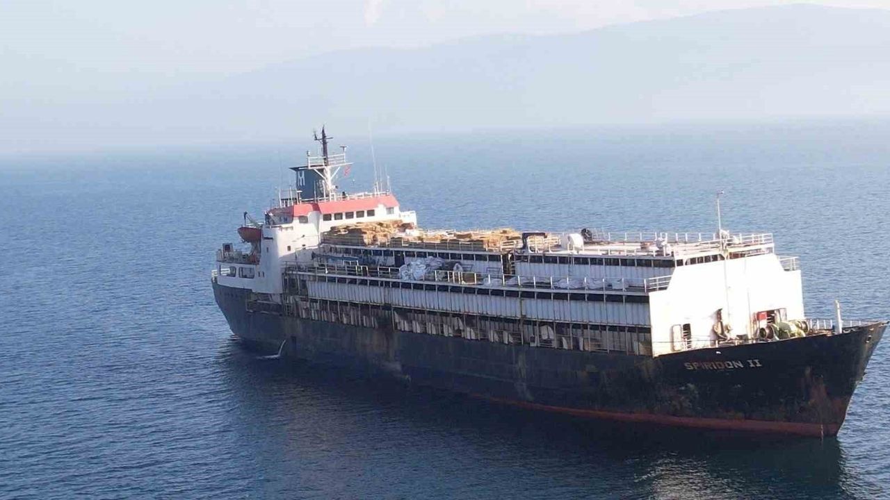 Spiridon II Gemi'sindeki Hayvanlar Tehlikede: Uzmanlardan Acil Uyarılar