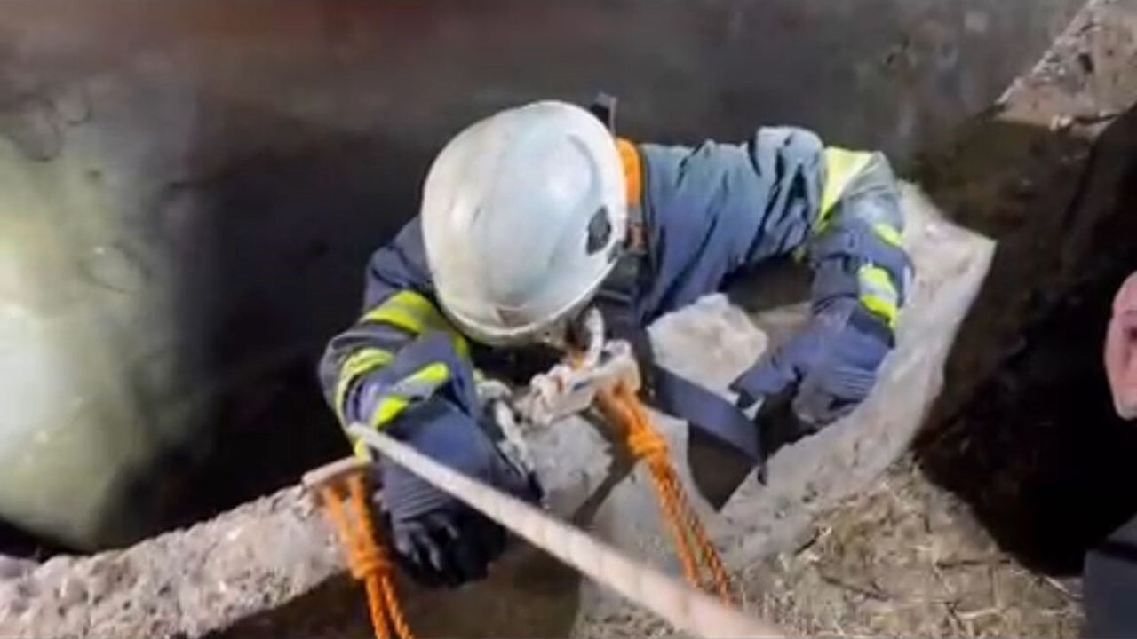 Su Kuyusuna Düşen Çakal Kurtarıldı