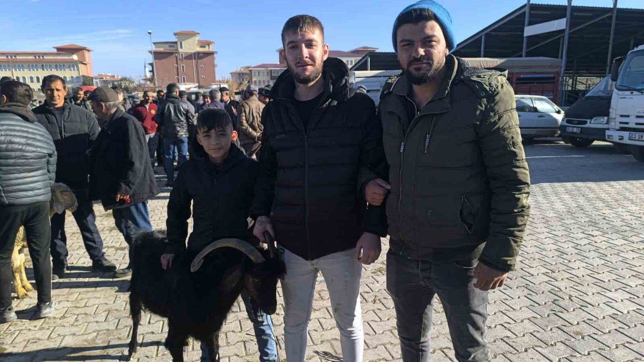 Şuhut'taki Canlı Hayvan Pazarı Yeniden Açıldı