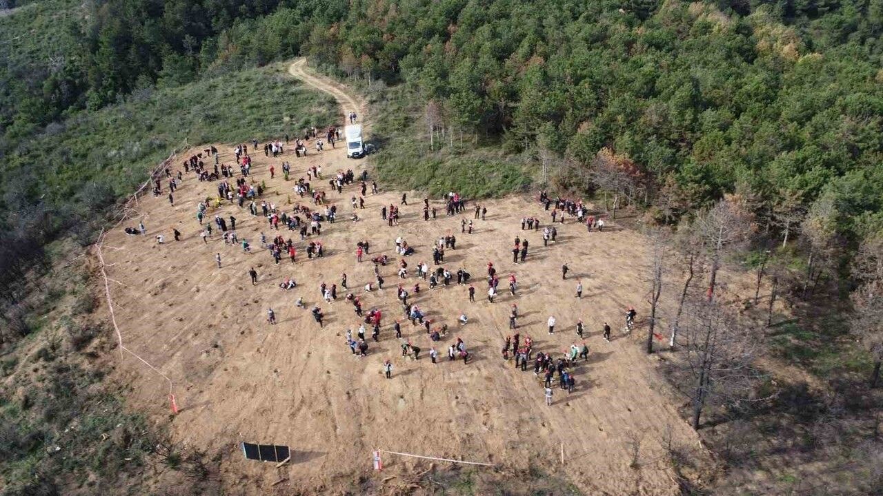 Sultangazi'de Anma ve Ağaç Dikim Etkinliği