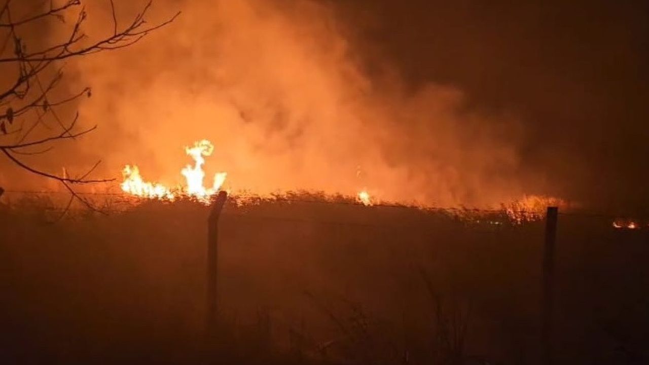 Sülüklü Göl'deki Yangın Korkuttu