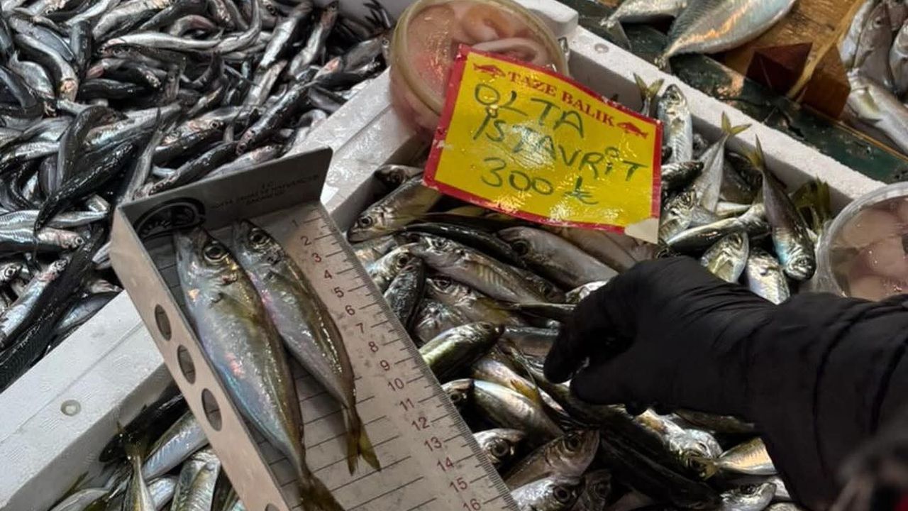 Tekirdağ'da Sürdürülebilir Balıkçılık Denetimi