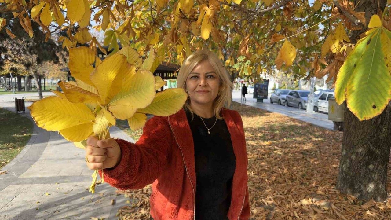 Tokat'ta Sonbahar Yapraklarıyla Renk Cümbüşü