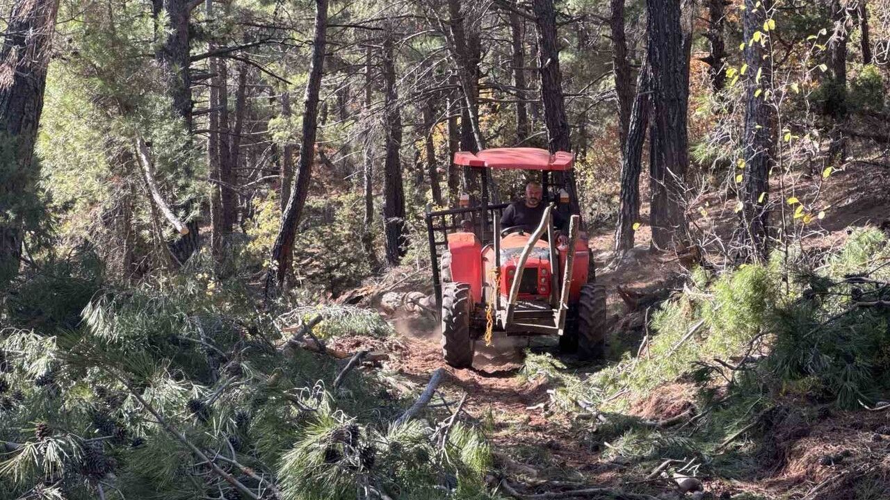Toroslar'da 35 Yıldır Orman İşçiliği Yapan Çiftin Hikayesi