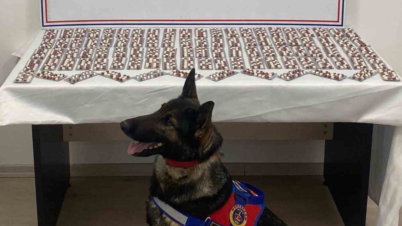 Tosya'da Uyuşturucu Operasyonu: Şahıs Tutuklandı