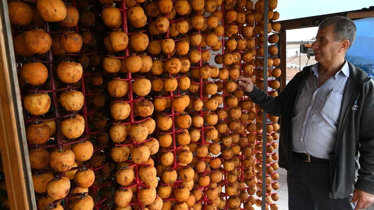 Trabzon Hurmasını Kurutarak Kazancını İkiye Katlayan Üretici
